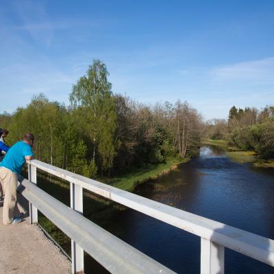 2014 Roheliste Rattaretk Kuidas Elad Maerjamaa 20170322 1847473079