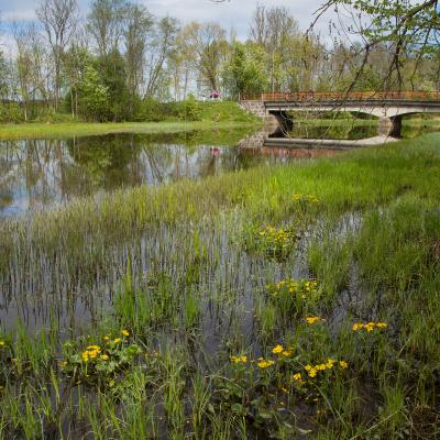 2014 Roheliste Rattaretk Kuidas Elad Maerjamaa 20170322 1877401244