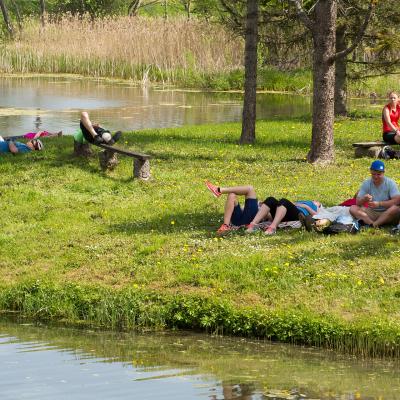 2014 Roheliste Rattaretk Kuidas Elad Maerjamaa 20170322 1989814211