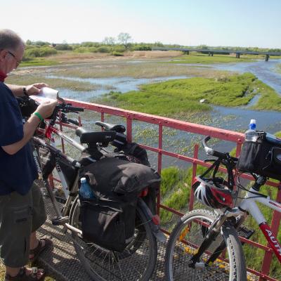 2014 Roheliste Rattaretk Kuidas Elad Maerjamaa 20170322 1991086959