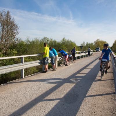 2014 Roheliste Rattaretk Kuidas Elad Maerjamaa 20170322 2075167355