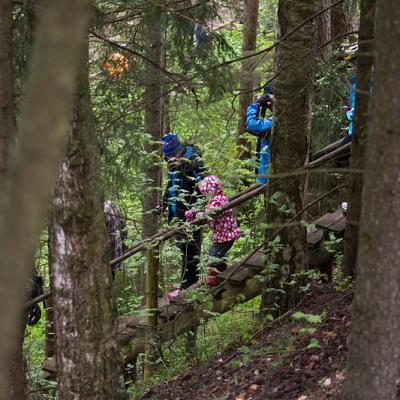 2015 Roheliste Rattaretk Kuidas Elad Haanjamaa 101 20180123 1688958380