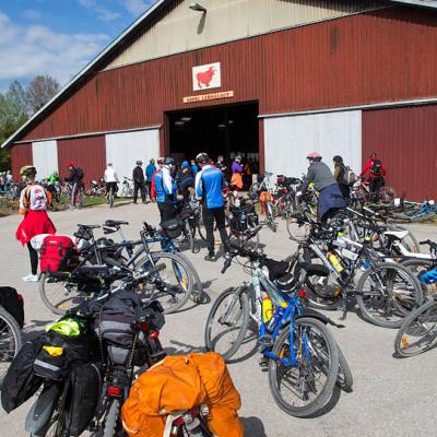 2015 Roheliste Rattaretk Kuidas Elad Haanjamaa 196 20180123 1751853541