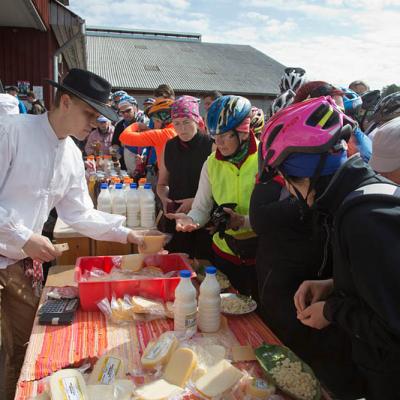 2015 Roheliste Rattaretk Kuidas Elad Haanjamaa 200 20180123 1893344795