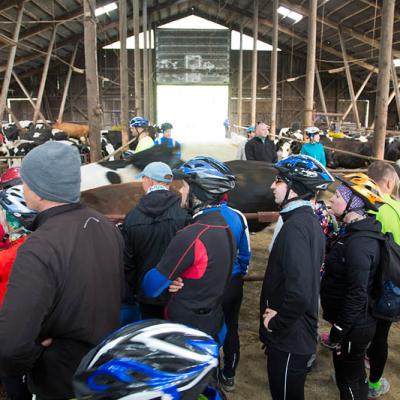 2015 Roheliste Rattaretk Kuidas Elad Haanjamaa 204 20180123 1681162976