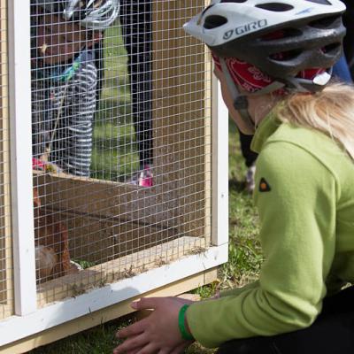 2015 Roheliste Rattaretk Kuidas Elad Haanjamaa 210 20180123 1213872979