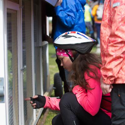 2015 Roheliste Rattaretk Kuidas Elad Haanjamaa 211 20180123 1536704619