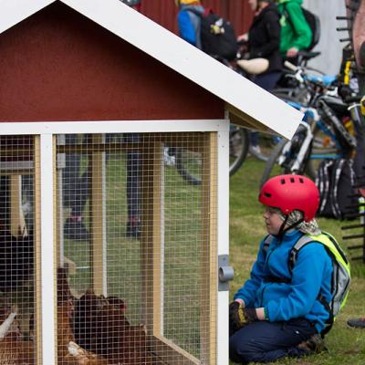 2015 Roheliste Rattaretk Kuidas Elad Haanjamaa 214 20180123 1752258839