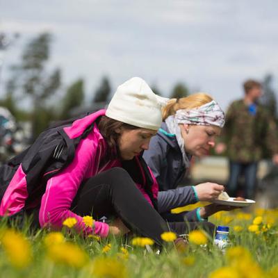 2015 Roheliste Rattaretk Kuidas Elad Haanjamaa 224 20180123 1917460213