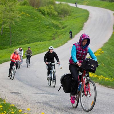 2015 Roheliste Rattaretk Kuidas Elad Haanjamaa 262 20180123 1650612045