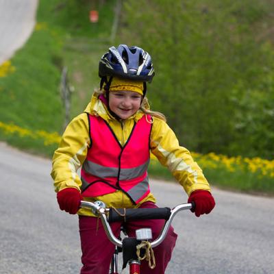 2015 Roheliste Rattaretk Kuidas Elad Haanjamaa 266 20180123 1932763123