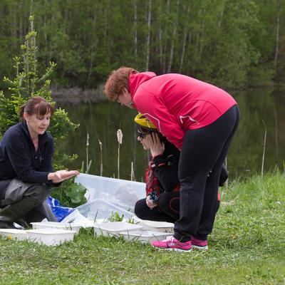 2015 Roheliste Rattaretk Kuidas Elad Haanjamaa 56 20180123 1252050712