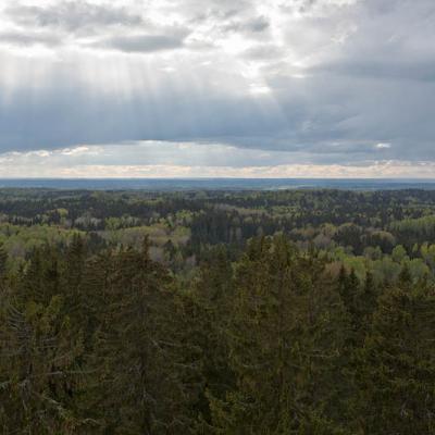 2015 Roheliste Rattaretk Kuidas Elad Haanjamaa 62 20180123 1003034352