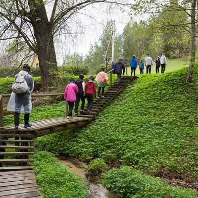 2015 Roheliste Rattaretk Kuidas Elad Haanjamaa 96 20180123 1891834394