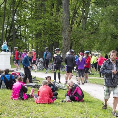 2016 Roheliste Rattaretk Kuidas Elad Poltsamaa 20160614 1096928800