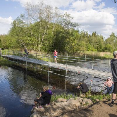 2016 Roheliste Rattaretk Kuidas Elad Poltsamaa 20160614 1121263132