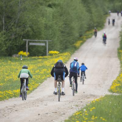 2016 Roheliste Rattaretk Kuidas Elad Poltsamaa 20160614 1205728019