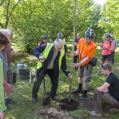 2016 Roheliste Rattaretk Kuidas Elad Poltsamaa 20160614 1213682778