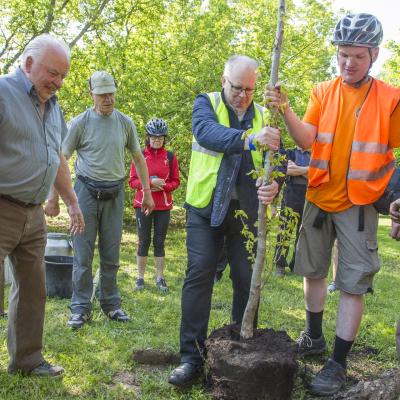 2016 Roheliste Rattaretk Kuidas Elad Poltsamaa 20160614 1272466173