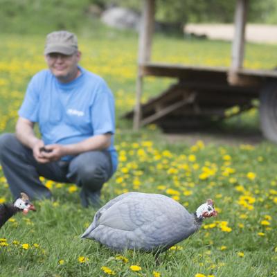 2016 Roheliste Rattaretk Kuidas Elad Poltsamaa 20160614 1298696156