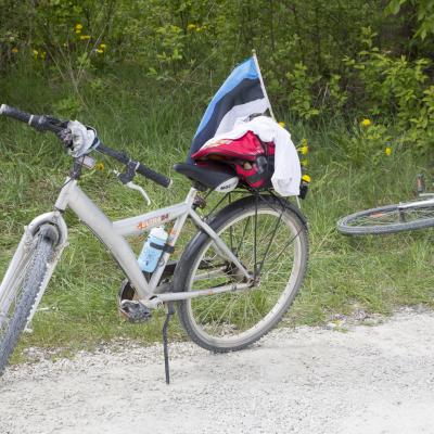 2016 Roheliste Rattaretk Kuidas Elad Poltsamaa 20160614 1360786023