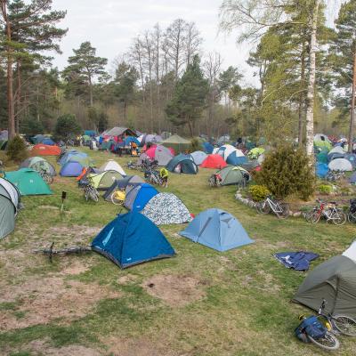 2017 Kuidas Elad Hiiumaa 217 20180124 1371589576