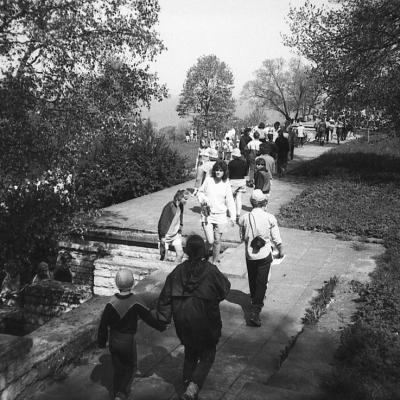 1989 Rattaretk 1 063 A Varinurm