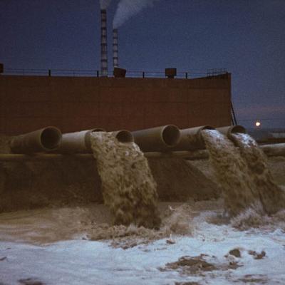 1989 Roheliste Rattaretk Kuhu Laehed Virumaa 20160617 1927581483