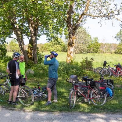 2019 Kuidas Elad Muhumaa 175 20190828 1869055058