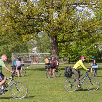 2019 Kuidas Elad Muhumaa 228 20190828 1244687505