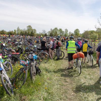 2019 Kuidas Elad Muhumaa 258 20190828 1981907560