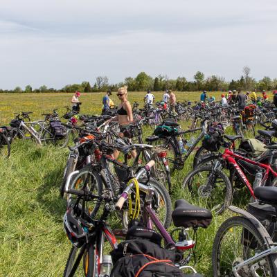 2019 Kuidas Elad Muhumaa 259 20190828 1768579365