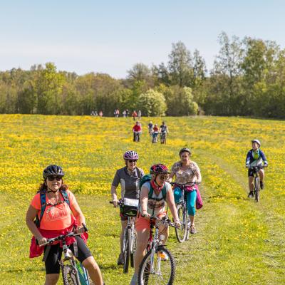 2019 Kuidas Elad Muhumaa 26 20190828 1860073310