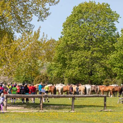 2019 Kuidas Elad Muhumaa 37 20190828 1185222084