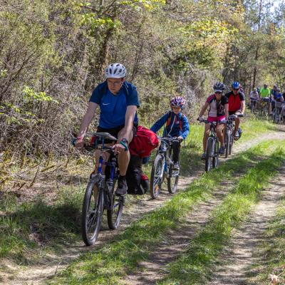 2019 Kuidas Elad Muhumaa 47 20190828 1825582321