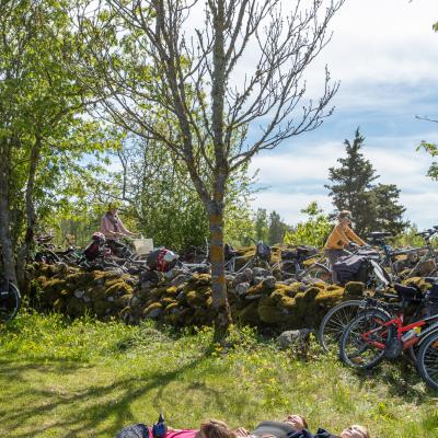 2019 Kuidas Elad Muhumaa 63 20190828 1232517481