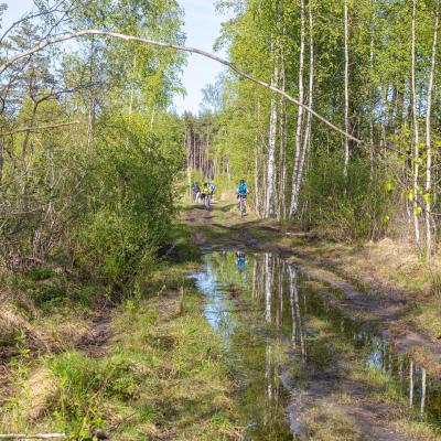 2019 Kuidas Elad Muhumaa 88 20190828 1267995516