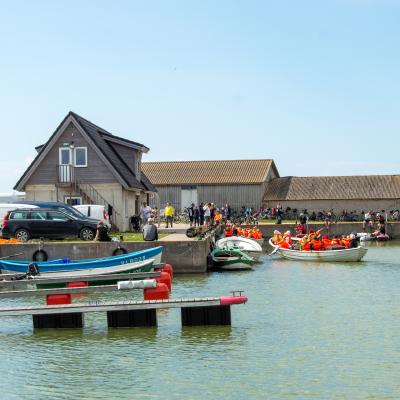 Dsc 0196