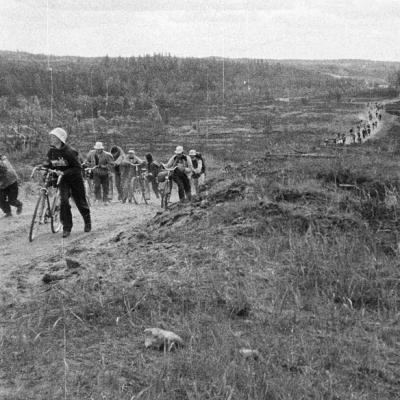 1990 Roheliste Rattaretk Mida Varjad Korvemaa 20160617 1292889411