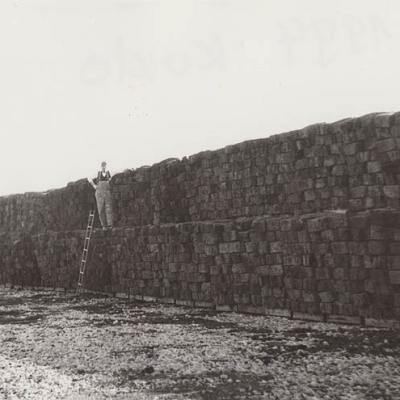 1994 Roheliste Rattaretk Kuidas Elad Paernumaa 20160617 1260573374