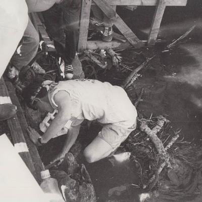 1994 Roheliste Rattaretk Kuidas Elad Paernumaa 20160617 1920764893